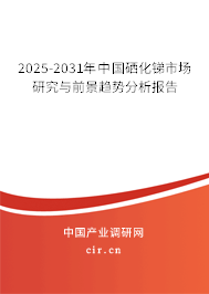 2025-2031年中國硒化銻市場研究與前景趨勢分析報告 2025-2031年中國硒化銻市場研究與前景趨勢分析報告