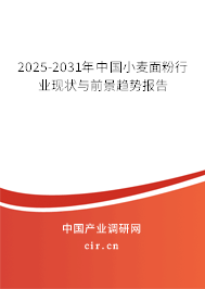2025-2031年中國小麥面粉行業現狀與前景趨勢報告 2025-2031年中國小麥面粉行業現狀與前景趨勢報告