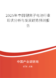 2025年中國鋰離子電池行業現狀分析與發展趨勢預測報告 2025年中國鋰離子電池行業現狀分析與發展趨勢預測報告