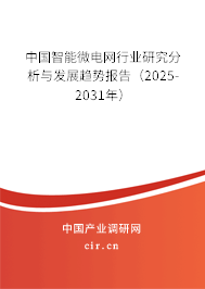 中國智能微電網行業研究分析與發展趨勢報告（2025-2031年）