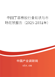 中國丁基橡膠行業現狀與市場前景報告(2025-2031年) 中國丁基橡膠行業現狀與市場前景報告(2025-2031年)