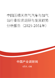 （最新）中國壓縮天然氣汽車與加氣站行業現狀調研與發展趨勢分析報告