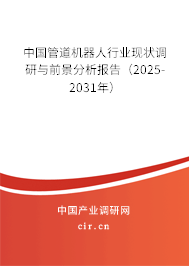 中國管道機器人行業現狀調研與前景分析報告（2025-2031年）
