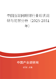 中國互聯網理財行業現狀調研與前景分析(2025-2031年) 中國互聯網理財行業現狀調研與前景分析(2025-2031年)