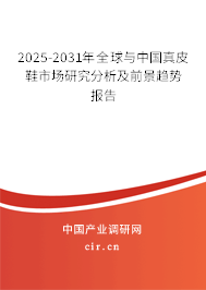 2025-2031年全球與中國真皮鞋市場研究分析及前景趨勢報告