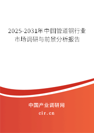 2025-2031年中國管道鋼行業市場調研與前景分析報告 2025-2031年中國管道鋼行業市場調研與前景分析報告