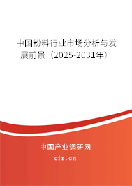 中國粉料行業市場分析與發展前景(2025-2031年) 中國粉料行業市場分析與發展前景(2025-2031年)