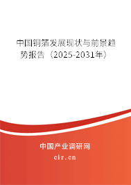 中國銅箔發展現狀與前景趨勢報告(2025-2031年) 中國銅箔發展現狀與前景趨勢報告(2025-2031年)
