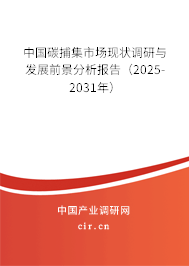中國碳捕集市場現狀調研與發展前景分析報告(2025-2031年) 中國碳捕集市場現狀調研與發展前景分析報告(2025-2031年)
