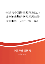 全球與中國新能源汽車動力鋰電池市場分析及發(fā)展前景預測報告(2025-2031年) 全球與中國新能源汽車動力鋰電池市場分析及發(fā)展前景預測報告(2025-2031年)