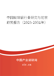 中國玻璃鍋行業研究與前景趨勢報告(2025-2031年) 中國玻璃鍋行業研究與前景趨勢報告(2025-2031年)