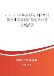 2025-2031年全球與中國水計量行業發展調研及前景趨勢分析報告 2025-2031年全球與中國水計量行業發展調研及前景趨勢分析報告