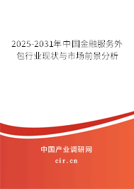 2025-2031年中國金融服務外包行業現狀與市場前景分析 2025-2031年中國金融服務外包行業現狀與市場前景分析