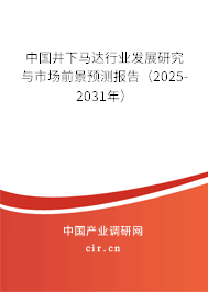 中國井下馬達行業發展研究與市場前景預測報告(2025-2031年) 中國井下馬達行業發展研究與市場前景預測報告(2025-2031年)