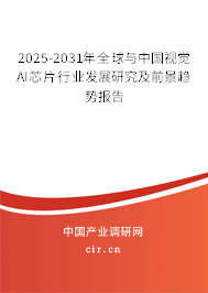 2025-2031年全球與中國視覺AI芯片行業發展研究及前景趨勢報告 2025-2031年全球與中國視覺AI芯片行業發展研究及前景趨勢報告