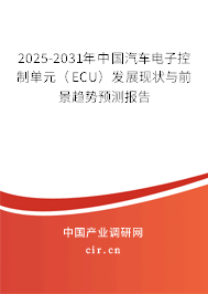 2025-2031年中國汽車電子控制單元(ECU)發展現狀與前景趨勢預測報告 2025-2031年中國汽車電子控制單元(ECU)發展現狀與前景趨勢預測報告