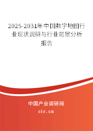 2025-2031年中國數字地圖行業現狀調研與行業前景分析報告