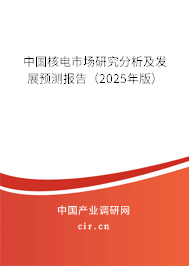 中國核電市場研究分析及發(fā)展預(yù)測報(bào)告(2025年版) 中國核電市場研究分析及發(fā)展預(yù)測報(bào)告(2025年版)