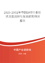 2025-2031年中國BRT行業現狀深度調研與發展趨勢預測報告 2025-2031年中國BRT行業現狀深度調研與發展趨勢預測報告