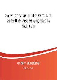 2024-2030年中國(guó)負(fù)離子發(fā)生器行業(yè)市場(chǎng)分析與前景趨勢(shì)預(yù)測(cè)報(bào)告