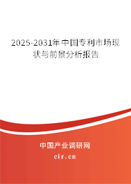 2025-2031年中國專利市場現狀與前景分析報告 2025-2031年中國專利市場現狀與前景分析報告