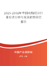 2025-2031年中國電腦培訓行業現狀分析與發展趨勢研究報告