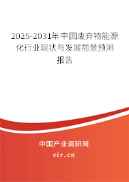 2025-2031年中國廢棄物能源化行業現狀與發展前景預測報告 2025-2031年中國廢棄物能源化行業現狀與發展前景預測報告