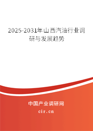 2025-2031年山西汽油行業調研與發展趨勢 2025-2031年山西汽油行業調研與發展趨勢
