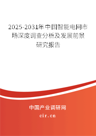 2025-2031年中國智能電網市場深度調查分析及發展前景研究報告 2025-2031年中國智能電網市場深度調查分析及發展前景研究報告
