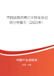 中國道路照明燈市場發展調研分析報告(2025年) 中國道路照明燈市場發展調研分析報告(2025年)