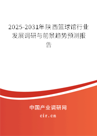 2025-2031年陜西籃球館行業發展調研與前景趨勢預測報告 2025-2031年陜西籃球館行業發展調研與前景趨勢預測報告