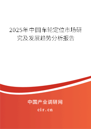 2025年中國車輪定位市場研究及發展趨勢分析報告 2025年中國車輪定位市場研究及發展趨勢分析報告