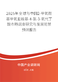 2025年全球與中國2-甲氧羰基甲氧亞胺基-4-氯-3-氧代丁酸市場調查研究與發(fā)展前景預測報告 2025年全球與中國2-甲氧羰基甲氧亞胺基-4-氯-3-氧代丁酸市場調查研究與發(fā)展前景預測報告