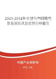 2025-2031年全球與中國鞘內(nèi)泵發(fā)展現(xiàn)狀及前景分析報告 2025-2031年全球與中國鞘內(nèi)泵發(fā)展現(xiàn)狀及前景分析報告