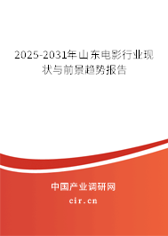 2025-2031年山東電影行業現狀與前景趨勢報告 2025-2031年山東電影行業現狀與前景趨勢報告