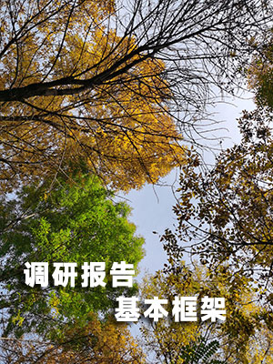 調研報告的基本框架